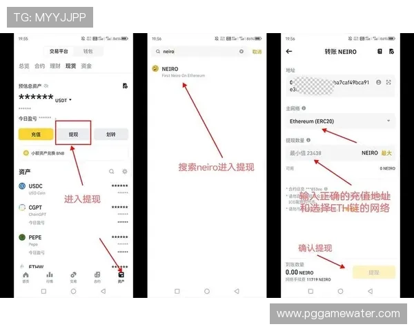 PG娱乐城169VIP支付方式详解,便捷安全的充值与提现流程介绍 PG娱乐城169VIP支付方式详解,便捷安全的充值与提现流程介绍